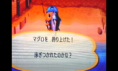 Wiiもりマグロ.jpg
